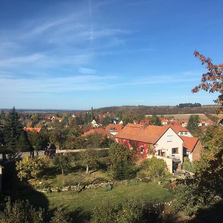 Ferienwohnung Im Blauen Haus Bad Suderode Exterior foto
